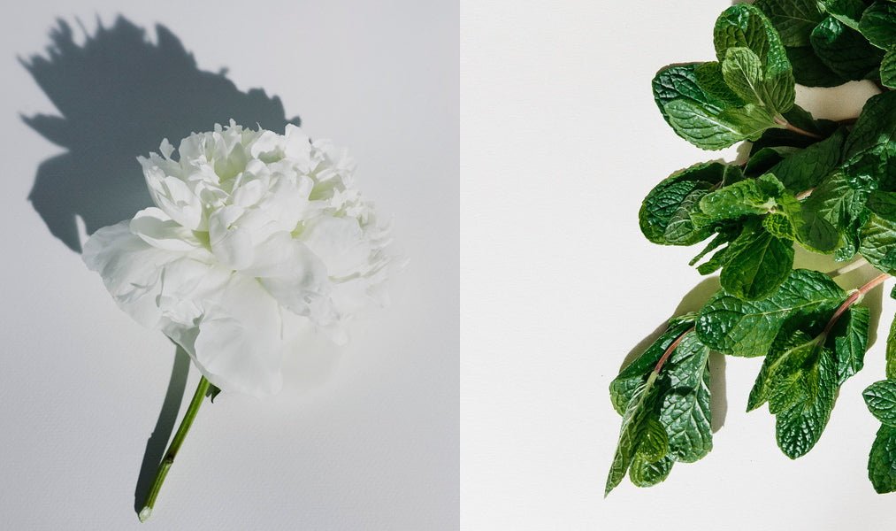Ätherische Öle - zwischen Dufterlebnis und Allergie - Blanda Beauty