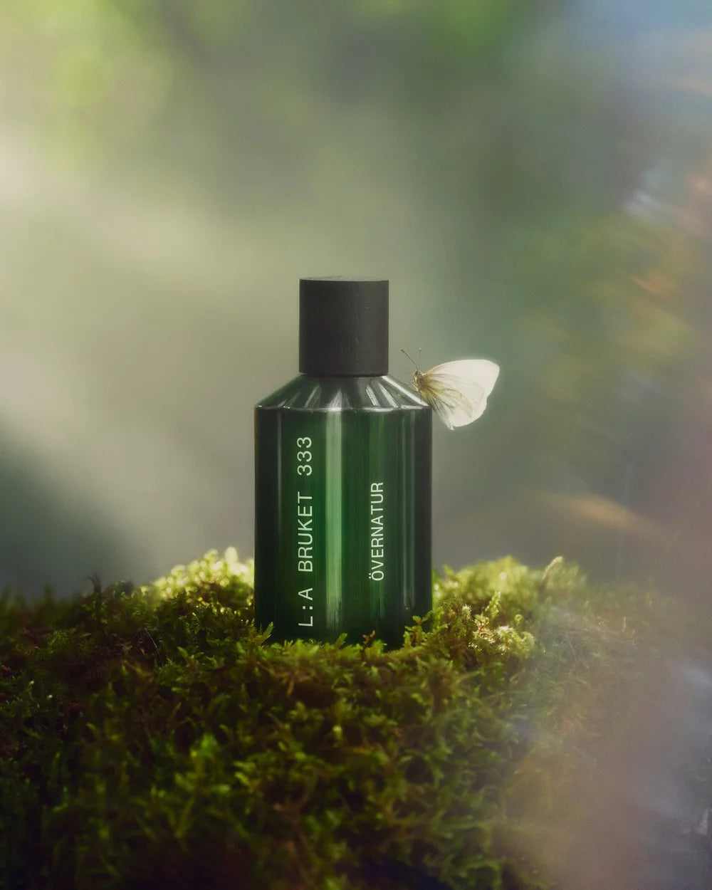 L:A Bruket Övernatur Eau de Parfum auf moosbewachsenem Waldboden im weichen Sonnenlicht