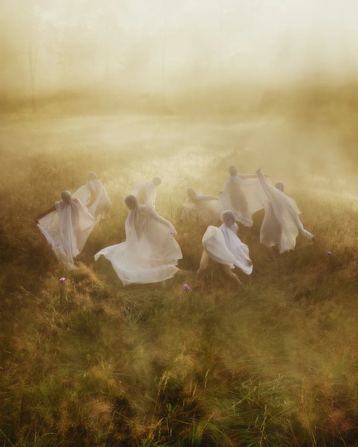 Taufrische Wiesenlandschaft im sanften Morgenlicht – Inspiration für L:A Bruket Dísir