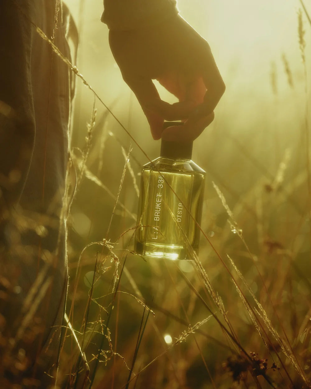 L:A Bruket Dísir Eau de Parfum in einer sonnendurchfluteten Wiese mit goldenem Morgenlicht
