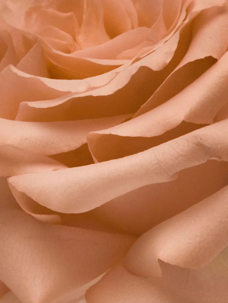 Nurture Eau de Parfum - Flower Mood