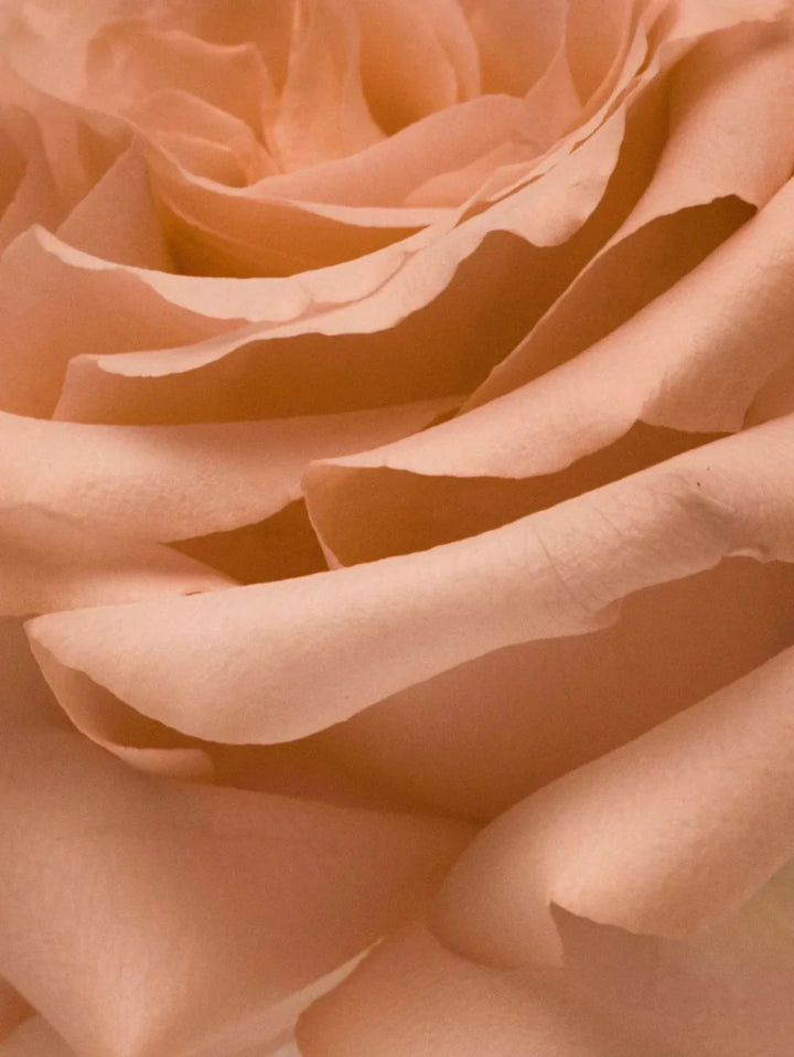 Nurture Eau de Parfum - Flower Mood