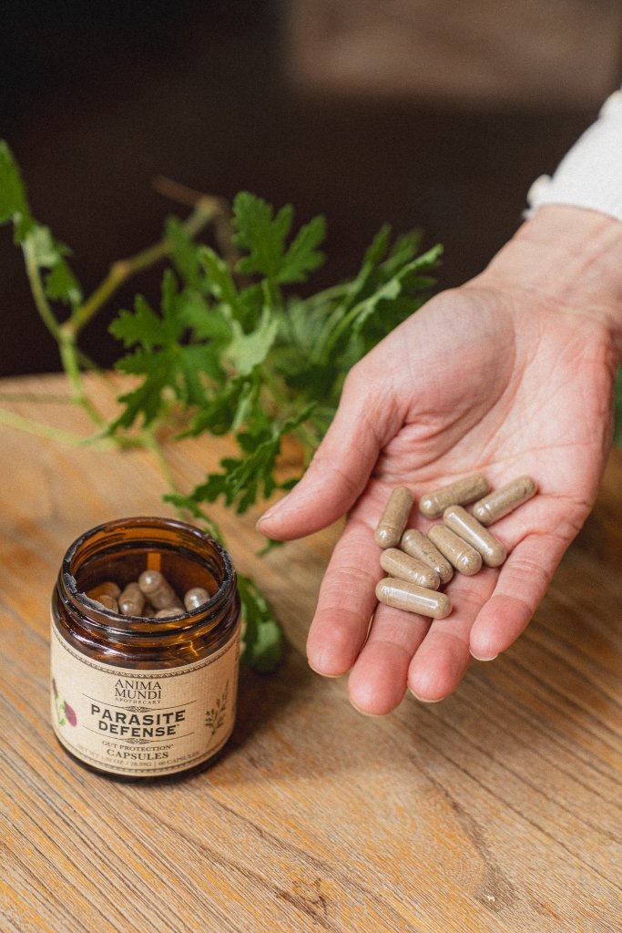 Anima Mundi Para-Herb Defense Capsules - Close up Capsules