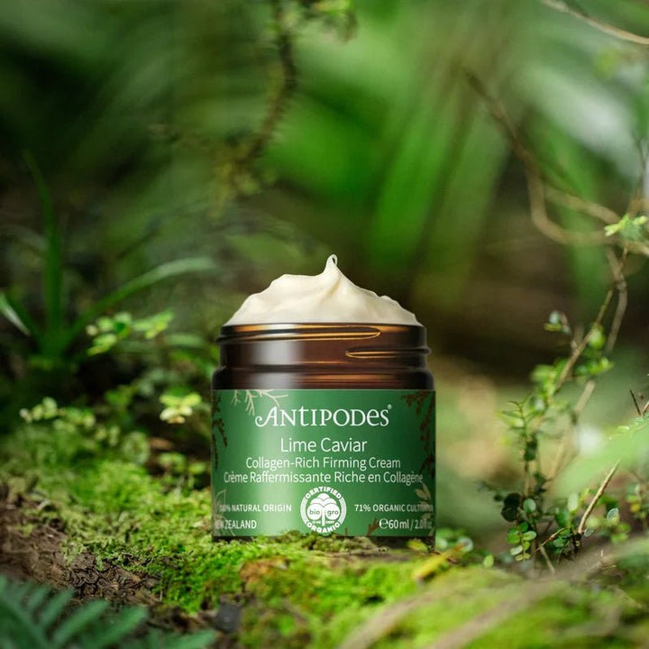 Lime Caviar Firming Cream in der Natur - Bio-Anti-Aging-Pflege