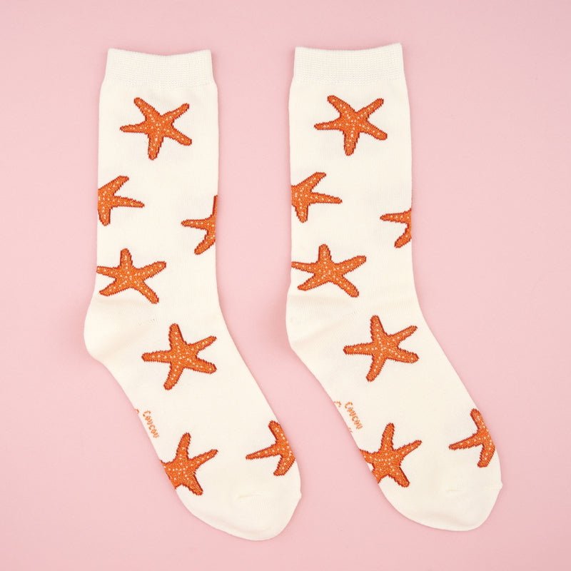 Starfish Socks with background