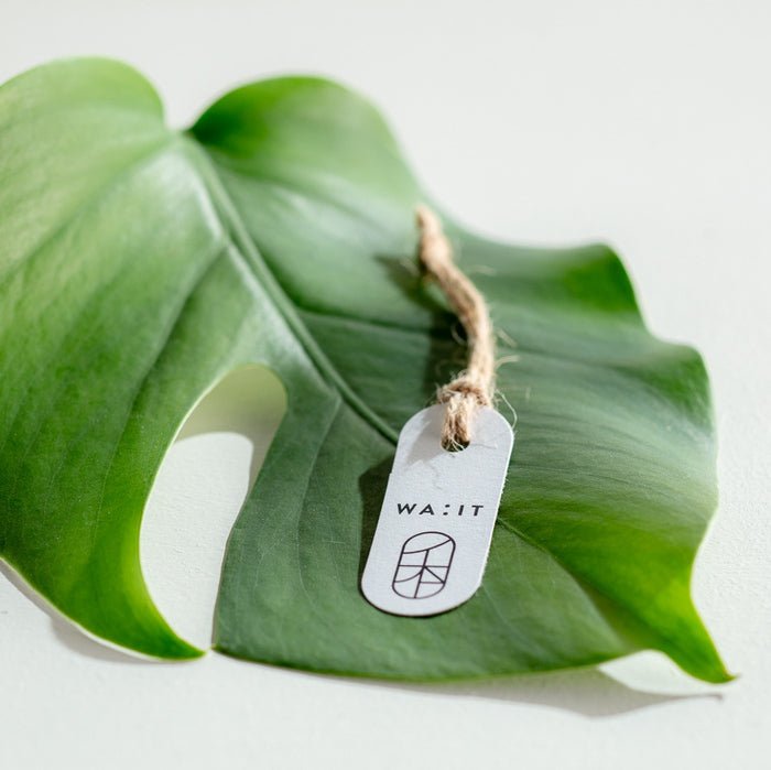 HITO Eau de Parfum Roll-On Mood with tag